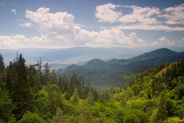 Forested hills and buildings in the Borjomi river valley in central Georgia